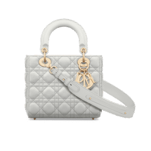 Small Lady Dior My ABCDior Bag