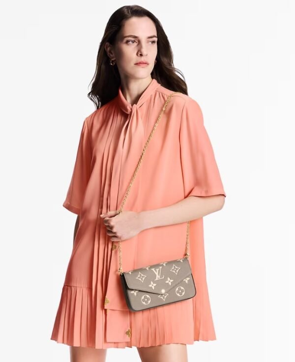 LV Félicie Pochette Bag-GreyBeige - Image 4