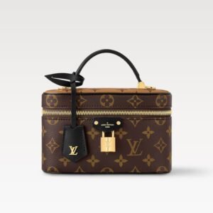 Vanity Chain Pouch Bag