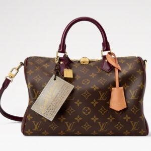 LV Speedy Soft 30 Celebration Bag
