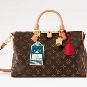 LV Speedy Soft 30 Crafty Bag