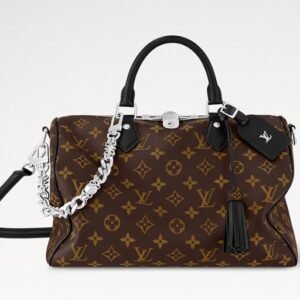 LV Speedy Soft 30 Dark Bag